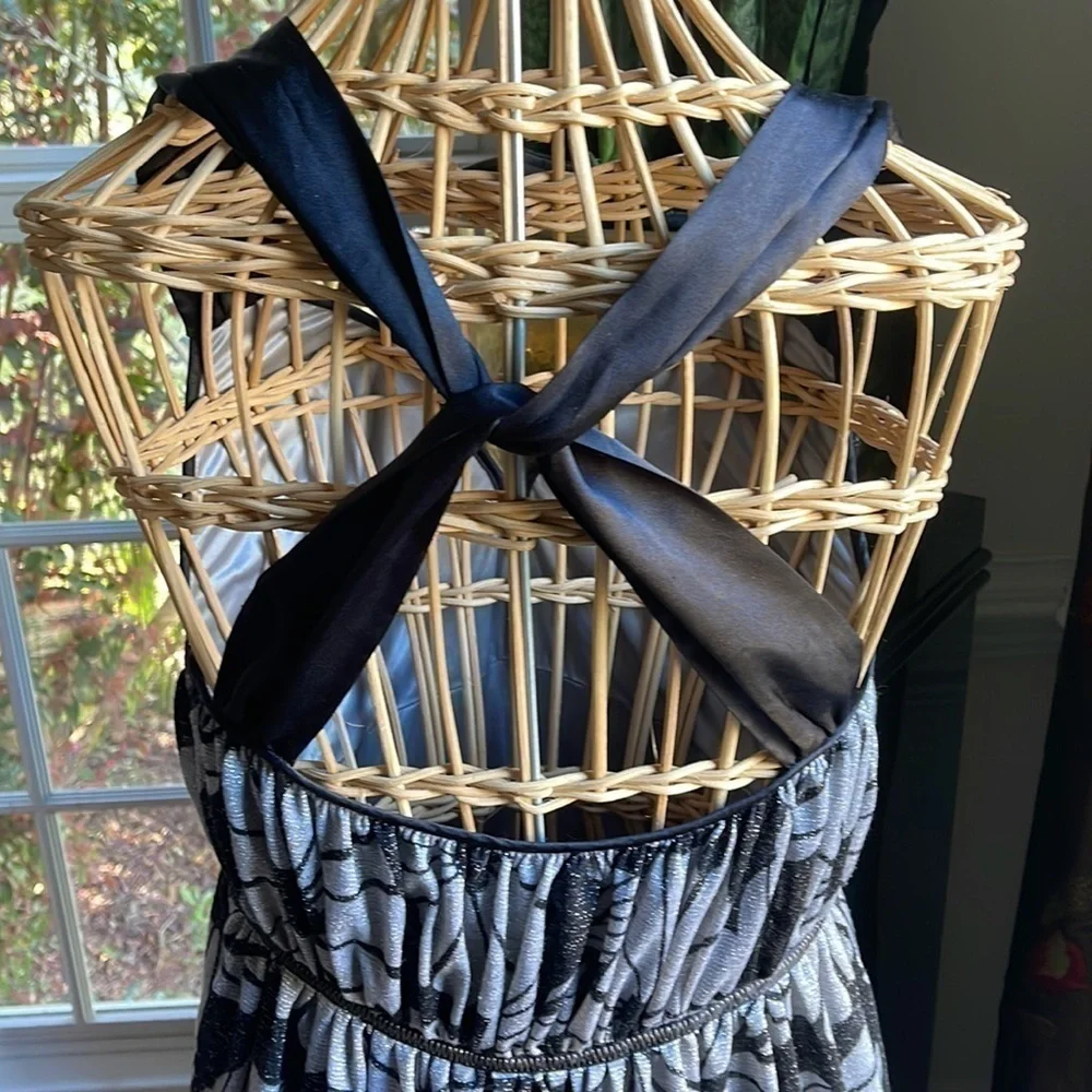Lyndia 🔥Sale🔥black and silver dress NWT